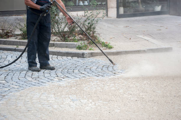 Best Roof Washing  in Bridgeport, MI