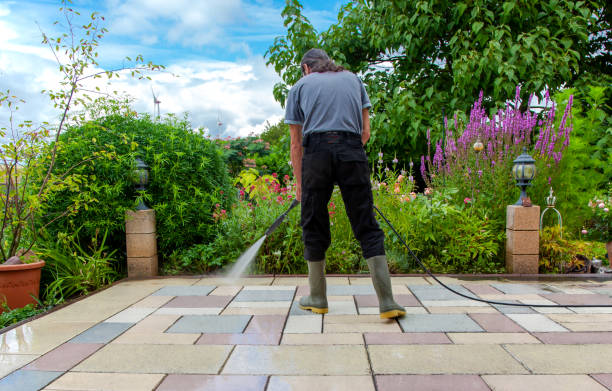 Best Parking Lot and Garage Cleaning  in Bridgeport, MI