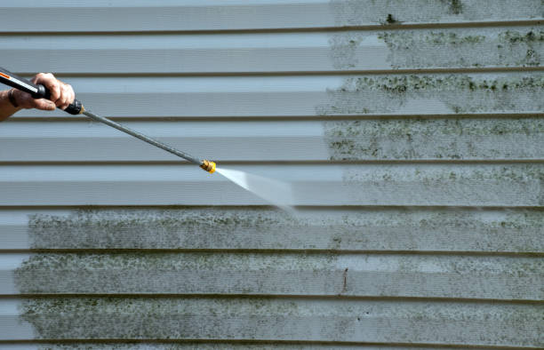 Best Roof Washing  in Bridgeport, MI