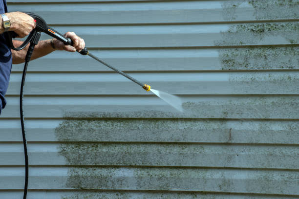 Best Dumpster Area Cleaning  in Bridgeport, MI