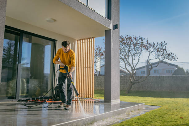 Best Animal Enclosure Cleaning  in Bridgeport, MI