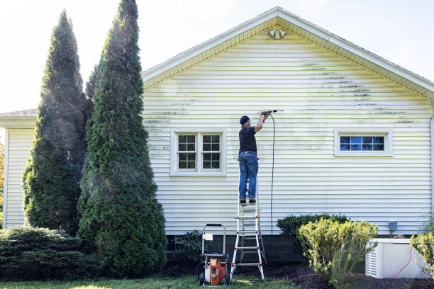 Boat and Dock Cleaning in Bridgeport, MI
